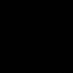 Meet your Posher, Noelle